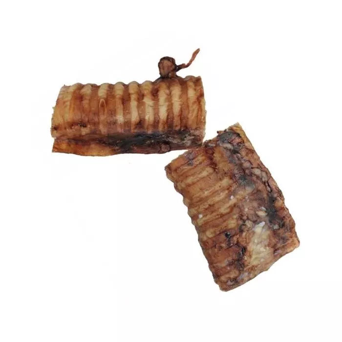 Real Dog jaučio trachėjos 2vnt.