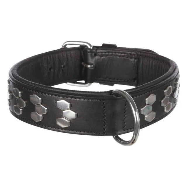 Trixie Active antkaklis su met. apdaila, oda XL 65-75cm/40mm, juodas